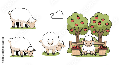 Farm life scene featuring cute white sheep grazing in meadow next to apple trees, baskets of red apples, and rustic wooden fence.