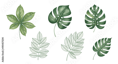 Elegant floral collection with deep red roses and delicate blue morning glory flowers with vines for romantic botanical art.