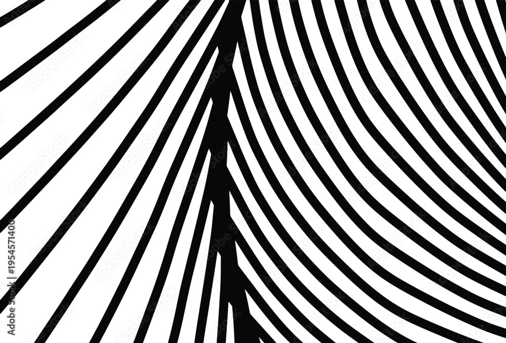 Naklejka premium Abstract Black and White Curved Lines Pattern.