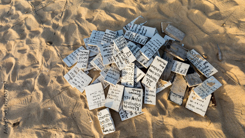 Fotografija Sea turtle protection through conservation and education in Boa Vista, Cape Verd