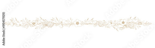 シンプルで上品な植物のイラスト、ボタニカルライン