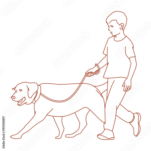 kid walking and training a labrador retriever in the park.eps