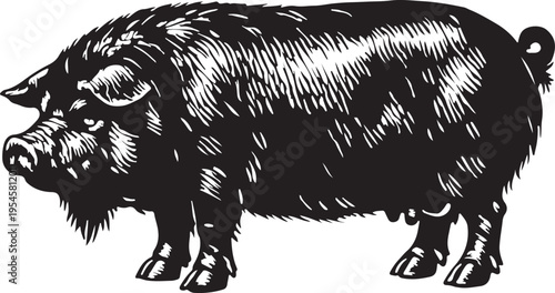 Black Pig Silhouette Vector Illustration Farm Animal Livestock