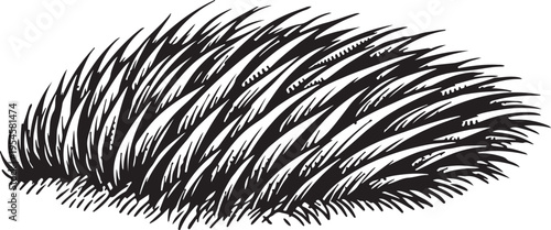 Close Up of Lush Green Grass Blades Detailed Sketch Illustration