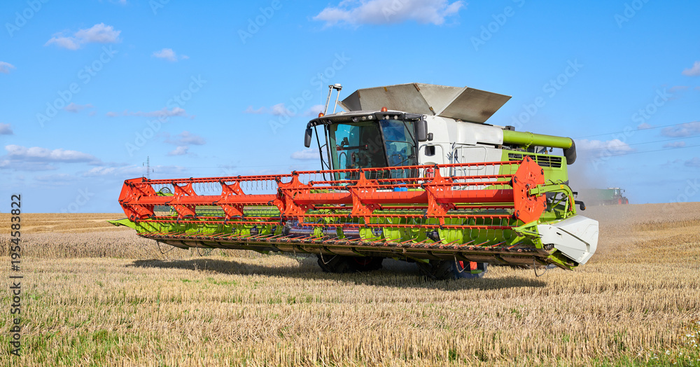 Obraz premium Farming, empty or truck on field with harvester, crop loading or wheat production in organic industry. Agriculture, rural or machine with space, grain separation or collection in sustainable business