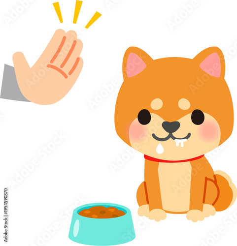 餌が入った皿の前に座りよだれを垂らす柴犬と開いた手のひら