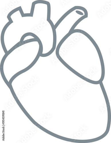 Human heart anatomy diagram illustration