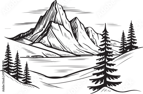 Contour mountain lines with pine tree foreground