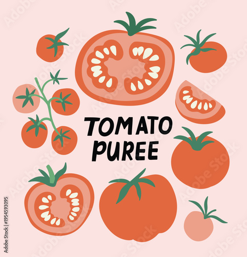 Vector tomato illustration. Red flat tomatoes isolated on pink background. Stylish flat vegetable design with lettering - Tomato puree. Tomatoes of different varieties. 