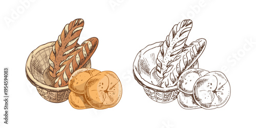 Hand drawn vintage sketch of baguette bread and round buns in wicker basket set color and outline version