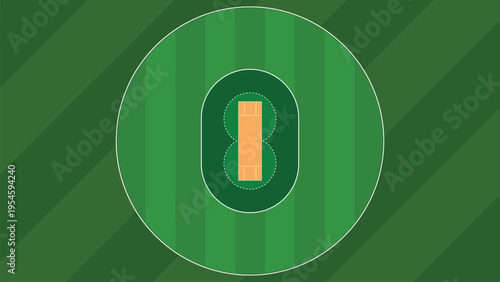 Top View Cricket Field Vector with Grass Stripes and Pitch Layout Stadium Background