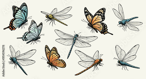 Colorful collection of vintage-style illustrations featuring different species of butterflies and dragonflies on a cream background.