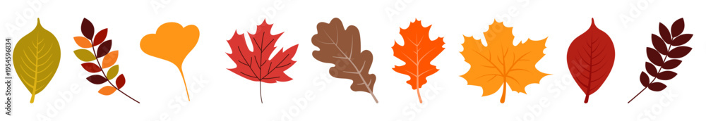 Obraz premium Autumn leaves set