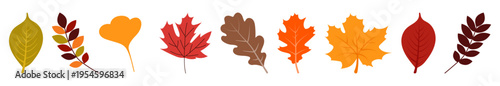 Autumn leaves set