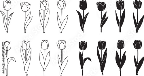 Black and white of various types of neckties in different styles bow tie ascot