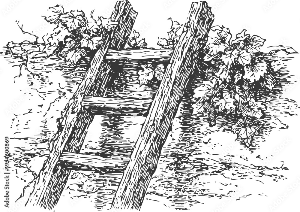 Fototapeta premium Vintage wooden ladder leaning on garden wall with climbing grapevine leaves illustration