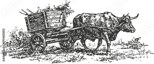 Vintage ox cart drawing with detailed rustic wooden wagon and single ox pulling load
