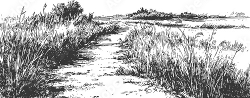 Winding dirt pathway through tall grass and reeds in a natural countryside landscape