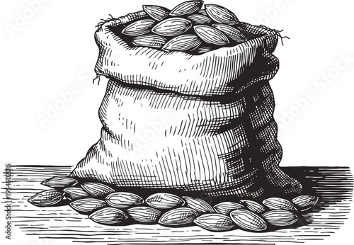 burlap sack full of almonds spilling onto wooden surface, detailed vintage sketch