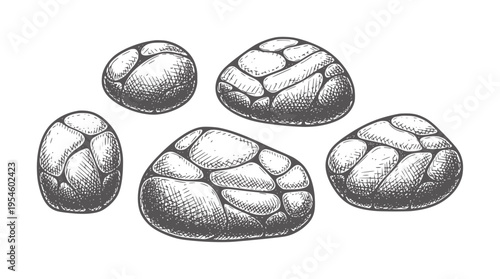 Hand drawn collection of smooth pebbles and stones rock