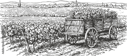 Vintage wooden cart filled with harvested flowers in blooming field landscape illustration