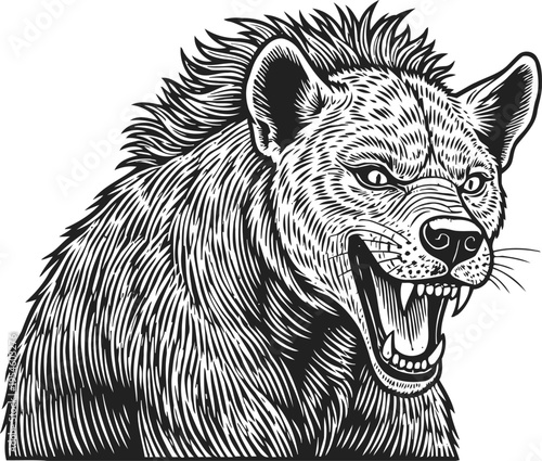Fierce snarling hyena with detailed fur and sharp teeth vintage black and white wild animal illustration