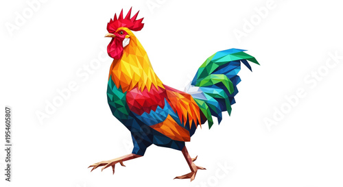Colorful Rooster Walking Isolated White.