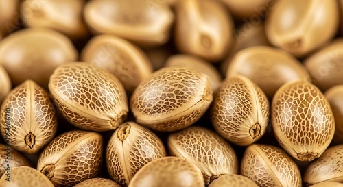 Heap of golden brown cannabis seeds.