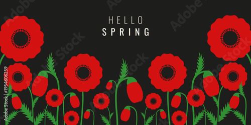 Hello Spring horizontal banner with bold minimal message. Elegant overlay red poppy Flowers Floral Frame with empty space for text isolated black background. Folk Vector illustration EPS 10