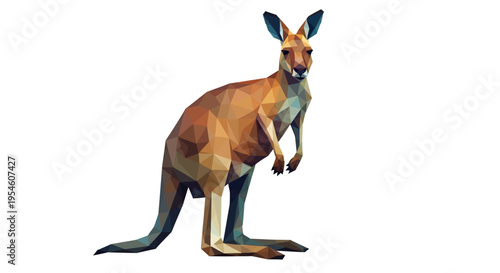 Kangaroo standing on white background looking.
