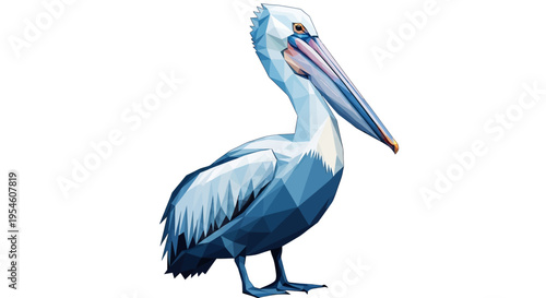 Large Pelican Bird Standing Alone Profile.