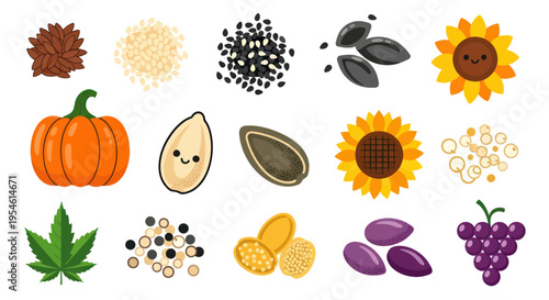 Assorted Seeds and Produce Collection: Sunflower, Pumpkin, Grapes, Hemp Leaf