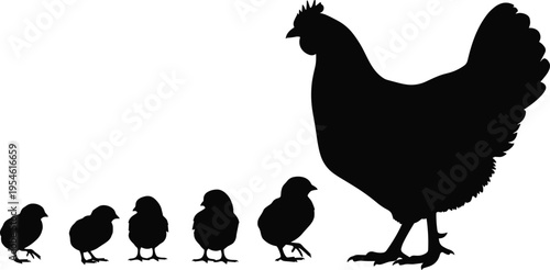 Black chicken hen silhouette with five chicks isolated on white background, poultry family vector illustration for farm animal design