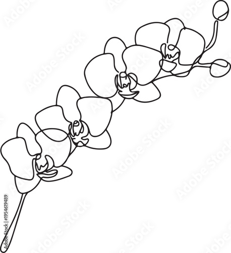 Elegant continuous line art drawing of a beautiful orchid branch, featuring multiple delicate blossoms and unopened buds in a minimalist botanical illustration style