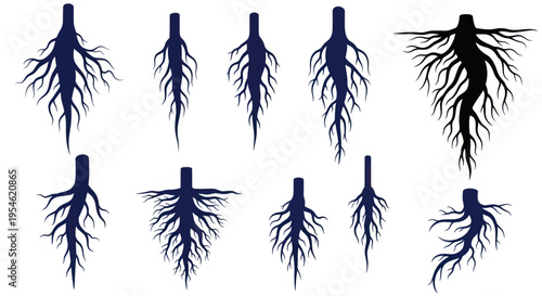 Collection of Diverse Plant Roots Silhouettes on White Background