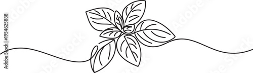 Continuous line, basil leaves line art vector illustration. one line Icon drawing