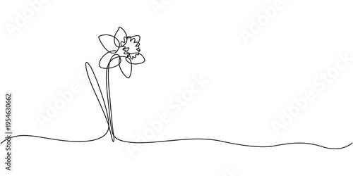 Daffodils one line drawing vector continuous illustration. Editable stroke