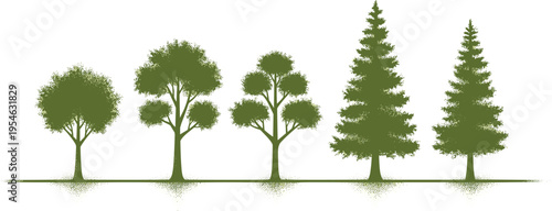 Green tree silhouettes collection including deciduous and pine trees isolated on white background, forest nature vector illustration for landscape design, environment and botanical concept