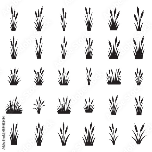 Cattail Silhouette Vector Collection Marsh Grass and Bullrush Icon