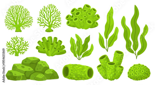 Vibrant Green Coral Reef Elements: Seaweed, Corals, Rocks, and Sponges Collection