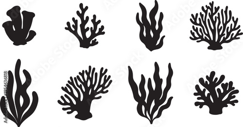Set of Eight Black Coral and Seaweed Silhouettes on White Background