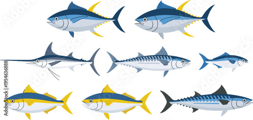 Collection of tuna, marlin, mackerel and yellowfin fish vector illustrations marine seafood species set isolated on white for fishing industry, ocean wildlife and seafood design