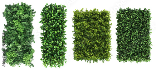 Bild auf Leinwand Top view of a hedge row Set isolated or on white background 3d render png