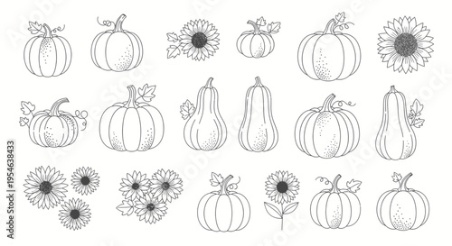 Autumn Harvest Outline: Pumpkins and Sunflowers Collection