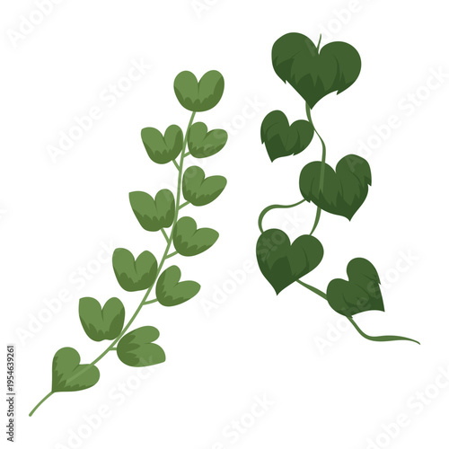 Climbing Green Vine Ivy Foliage Hanging Plant Vector Element