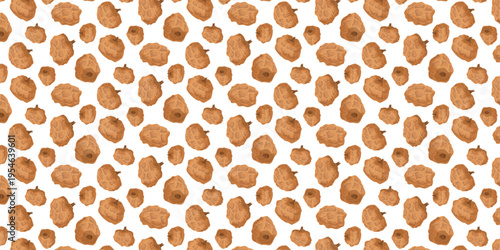 Seamless Pattern Tiger Nut Chufa Edible Tuber from Cyperus Plant