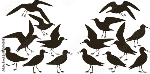 Flying and standing seabirds silhouettes, seagull and shorebird black vector illustration isolated on white background