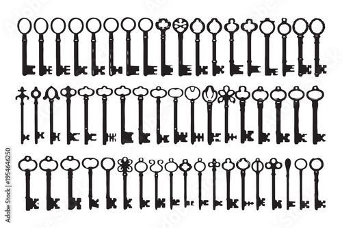 Massive assortment of fifty four silhouette keys in diverse patterns including circular and heart shape tops