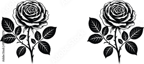 Rose silhouette illustration featuring detailed bloom with stem and leaves, symbolizing love, romance, and beauty, perfect for decorative, floral, and design projects