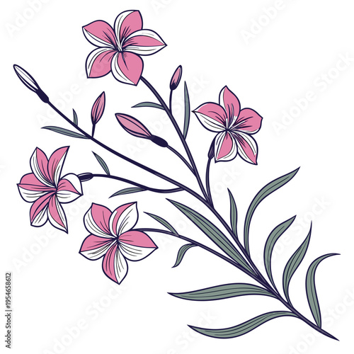 wild phlox with leaves